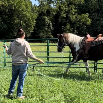 horsetraining